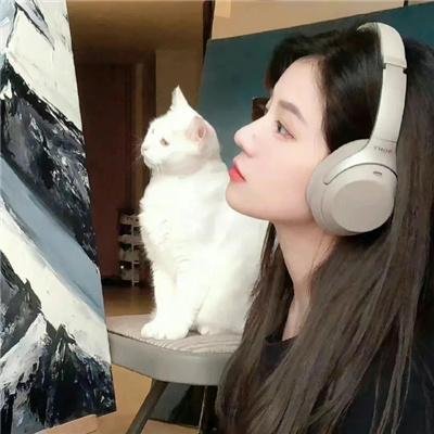 风流家族